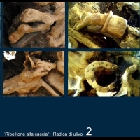 74 b.jpg